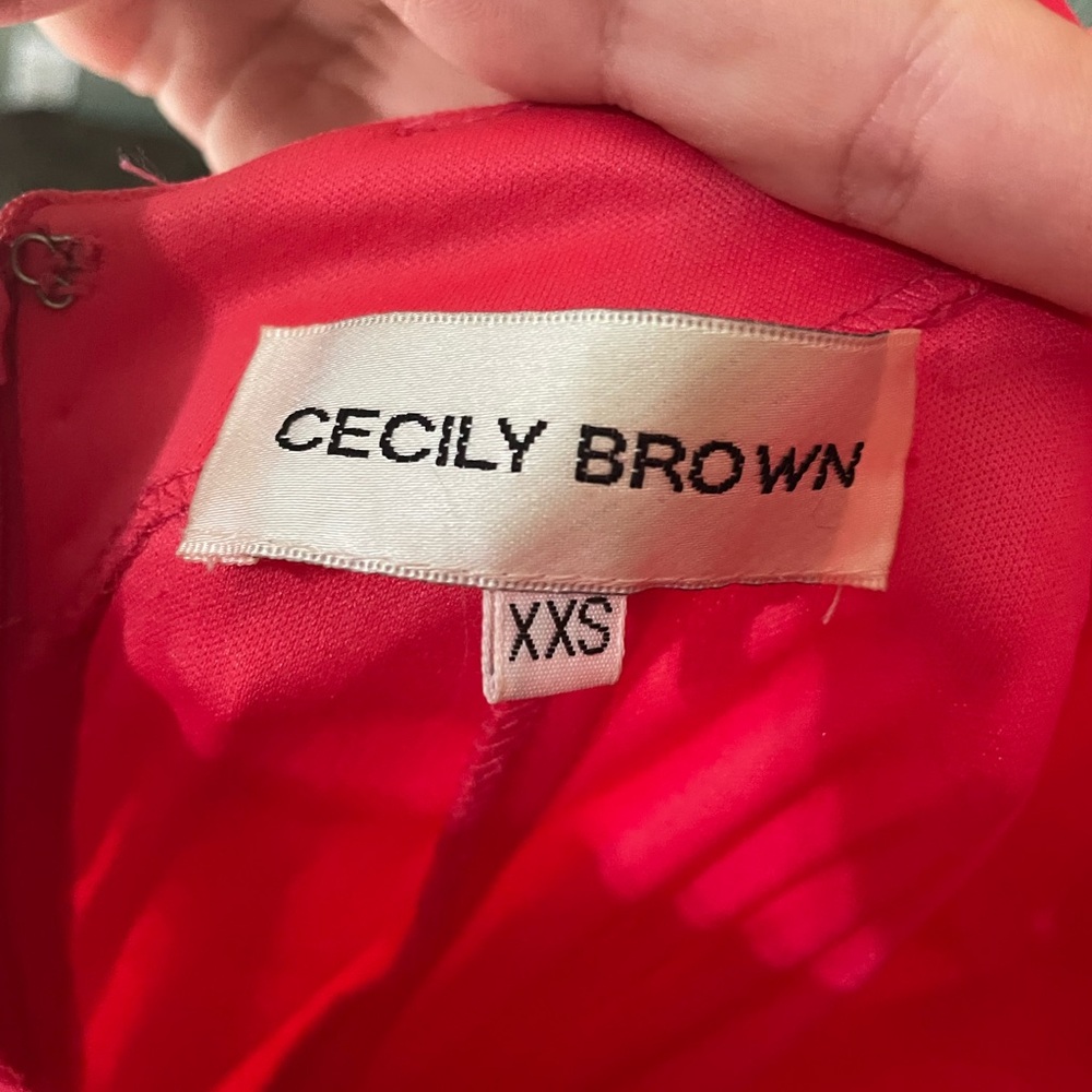 Cecily Brown Coral Beaded Open Back Formal Gown | Size XXS